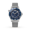 Diver Blue Stainless Steel 42mm