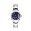 Classic Blue Steel 31mm (5)