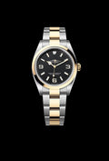 Classic Black Steel and Yellow Gold (2)