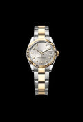 Classic Silver Steel and Yellow Gold