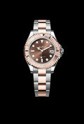 Classic Chocolate Steel and Rose Gold