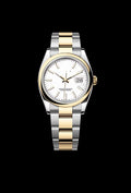 Classic White Steel and Yellow Gold