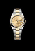 Classic Champagne Steel and Yellow Gold 36mm