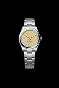 Classic Steel 31mm