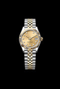 Classic Champagne Steel and Yellow Gold 31mm